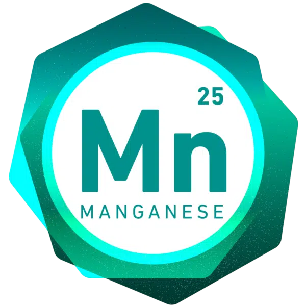Manganese Water Test You Can Trust ETR Lab