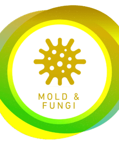 Mold & Fungi Water Test