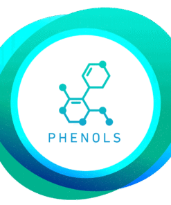 Phenols Water Test