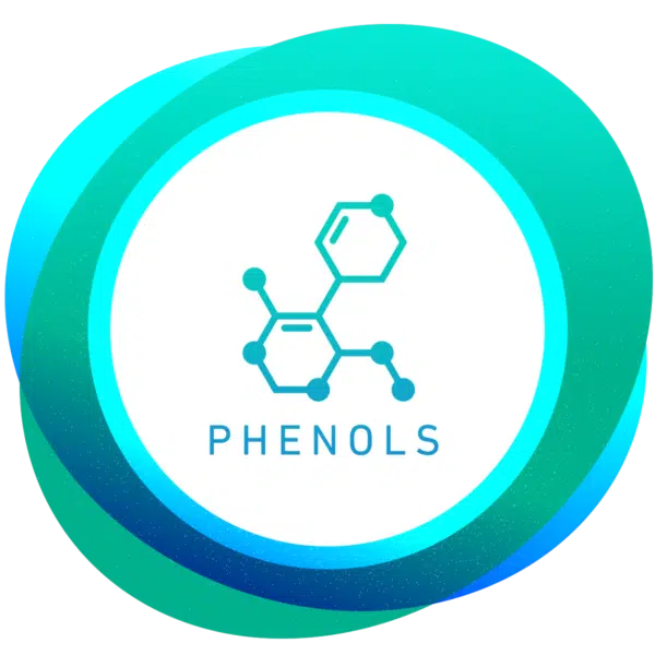 Phenols Water Test You Can Trust ETR Labs