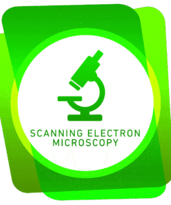 SEM