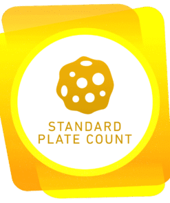 Standard Plate Count (Total Bacteria Count) Water Test