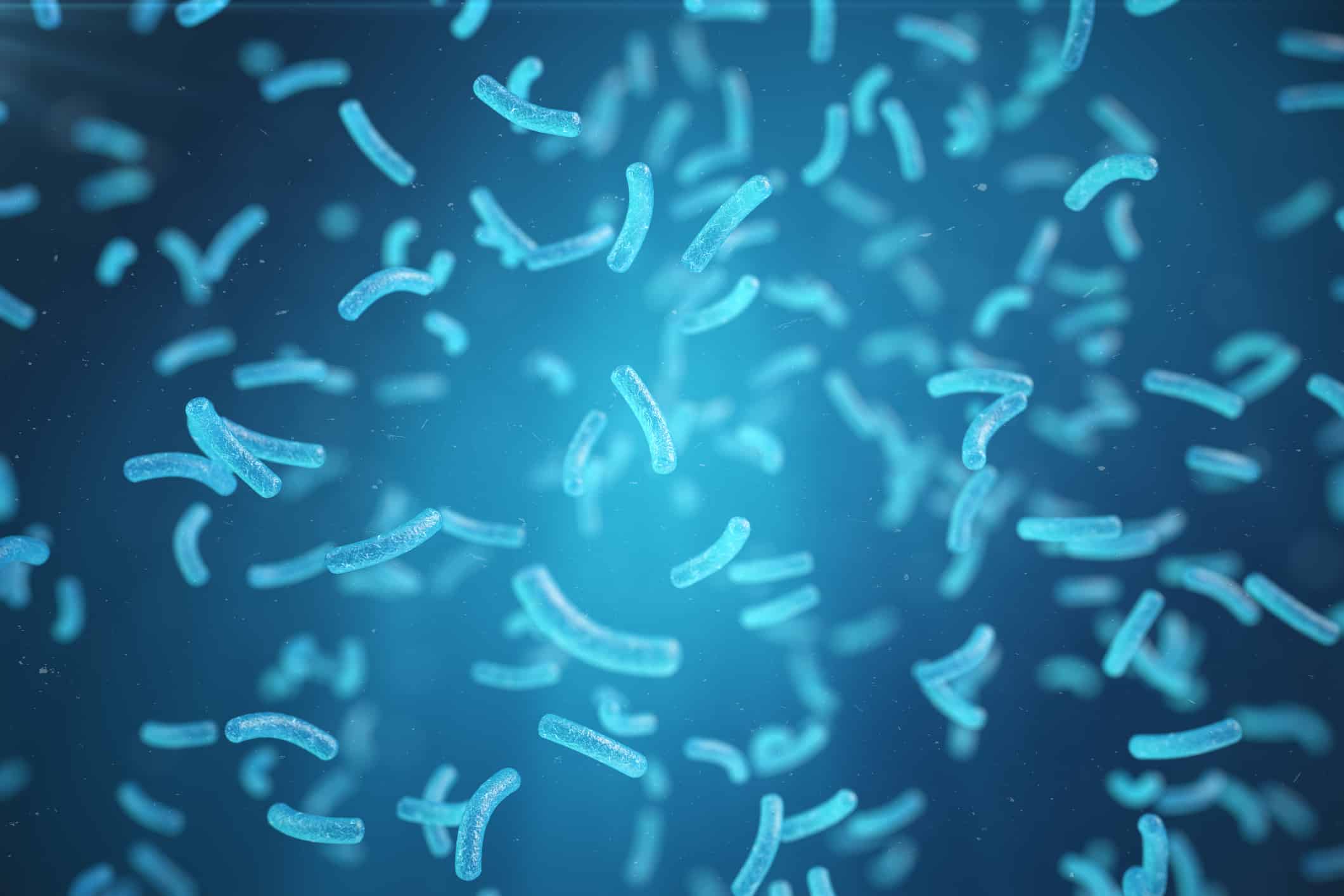 Fungi in well water? Serious health threat! ETR Laboratories