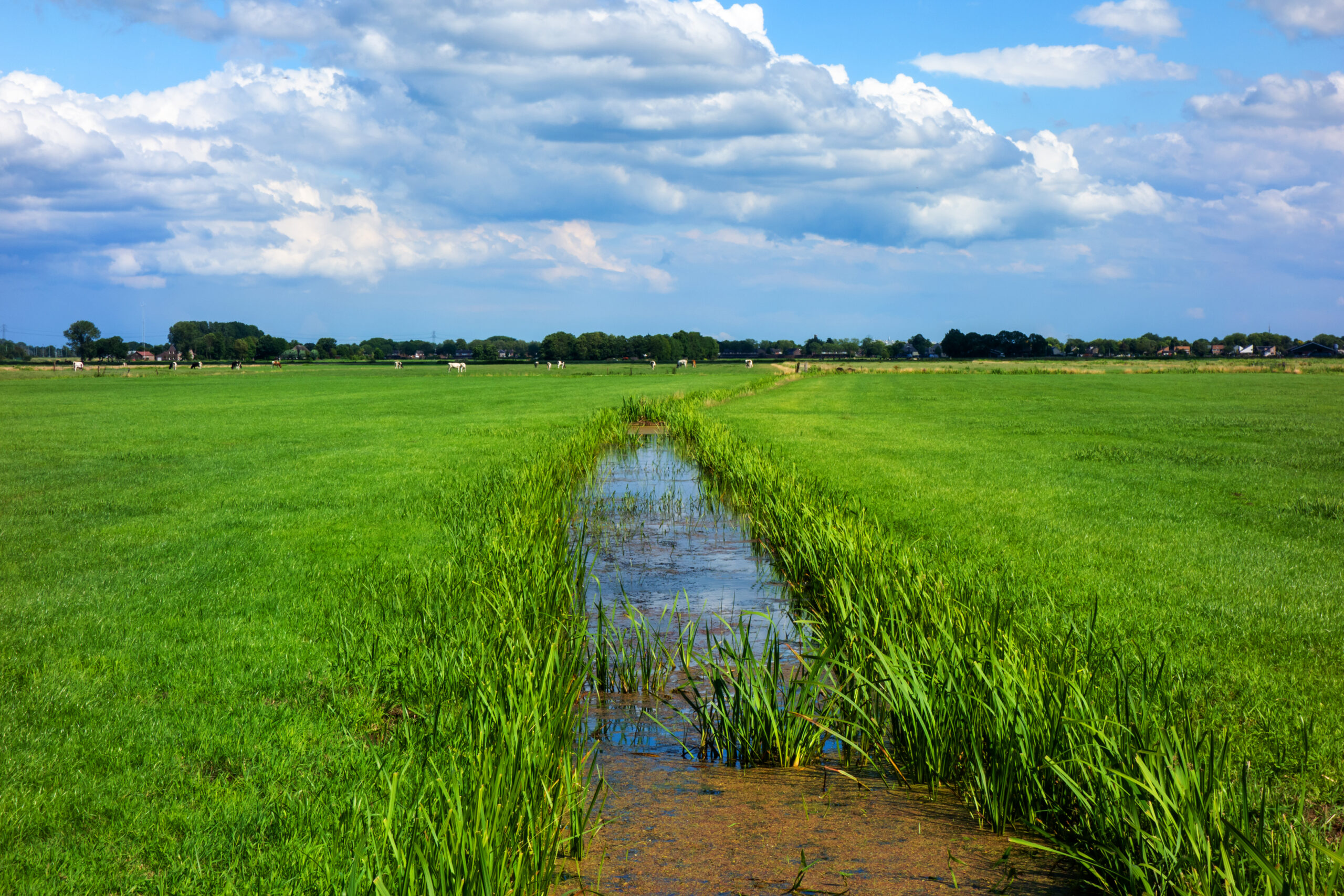 A rural landscape with fields and a water drainage ditch.