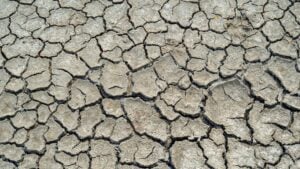 The World Is Running Out of Clean Water