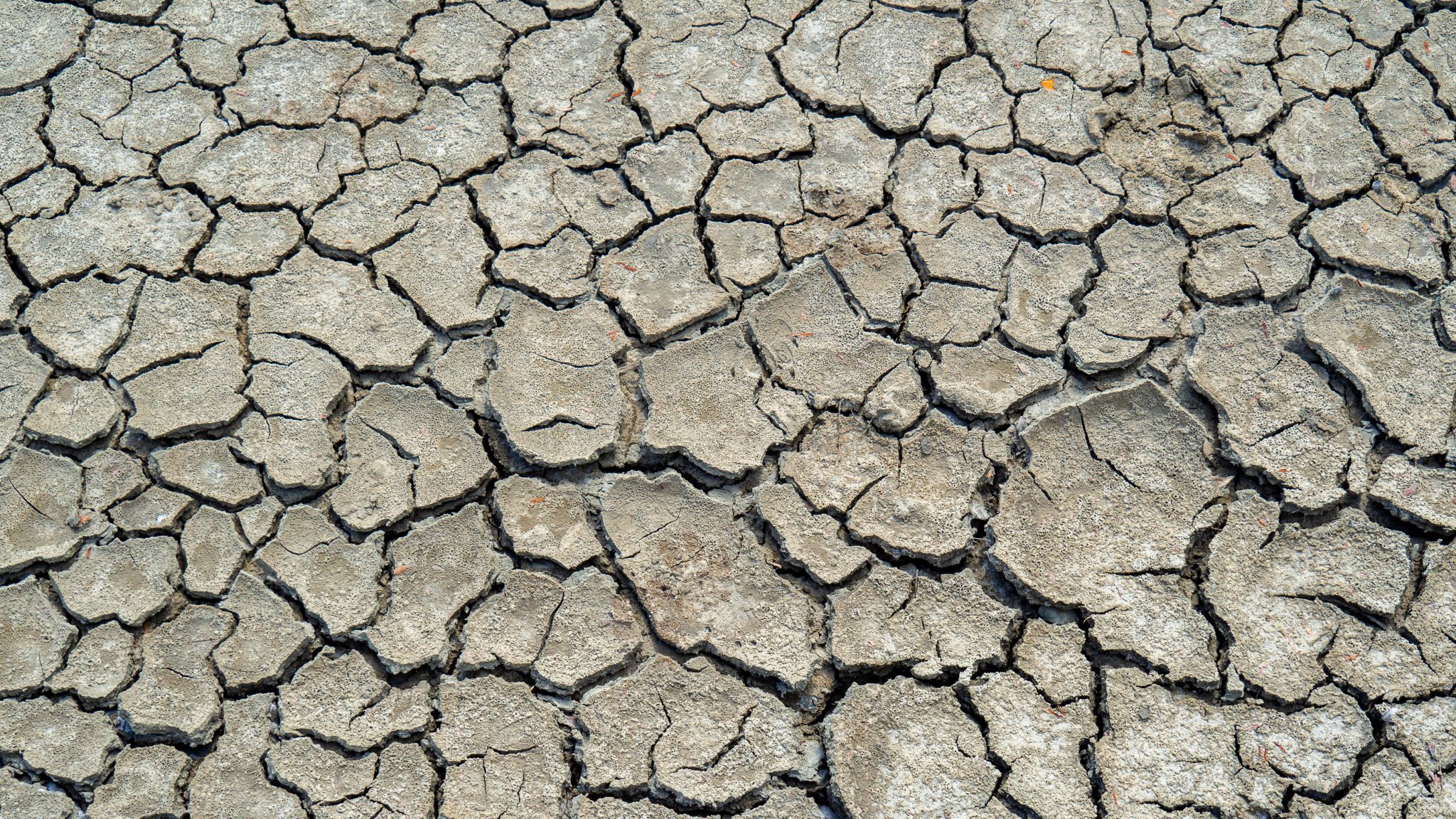 The World Is Running Out of Clean Water